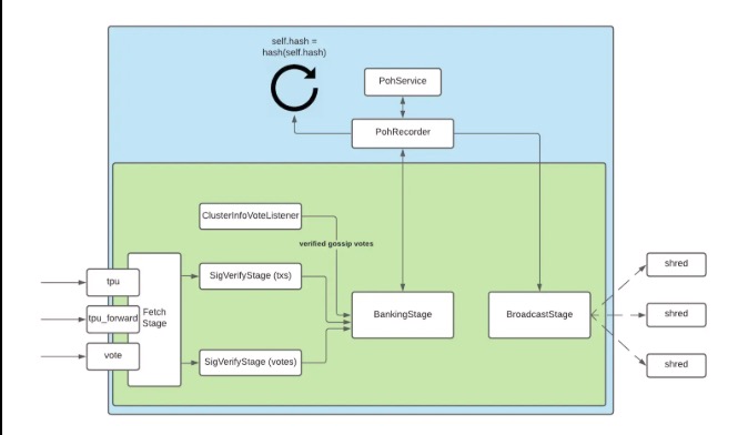 TPU-stages